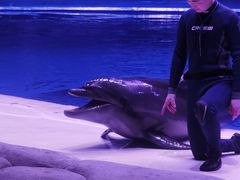 -华夏文旅海洋公园