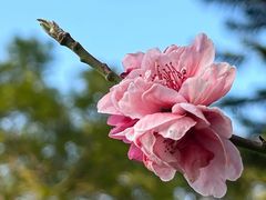 -桃花涧