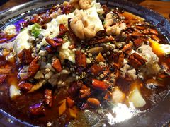 精品毛血旺-盛天毛血旺非遗美食(观音桥店)