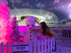 -世界之窗阿尔卑斯冰雪世界