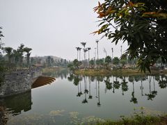 -枫香湖儿童公园