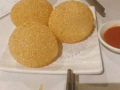 麻球-食为先(Shark Fin)