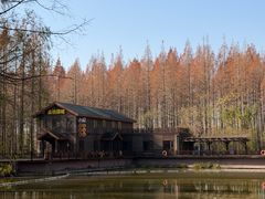 -黄海国家森林公园