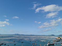 -枸杞岛