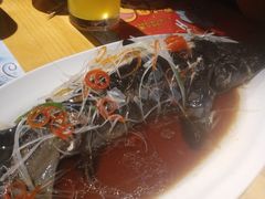 -胡桃里音乐酒馆(石家庄店)