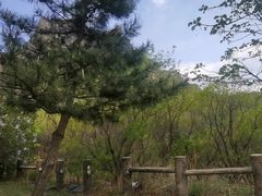 -灵山
