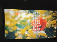 -春天国际影城(中庚漫游城杜比全景声店)