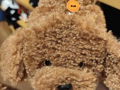 -九木杂物社(恒隆广场店)