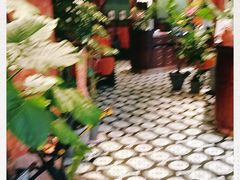 -星叶·东南亚料理(宁波万象汇店)