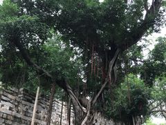 -胡里山炮台