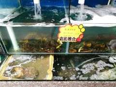 -蚝专家(北滘店)