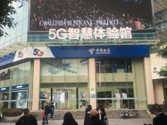 -中国电信(武林广场营业厅)