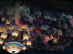 -栖巢咖啡(天鹅湖万达低碳店)