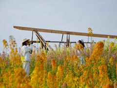 -三圣花乡旅游区