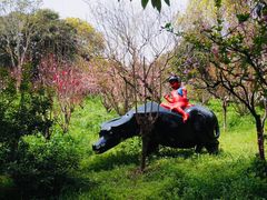 -南汇桃花村