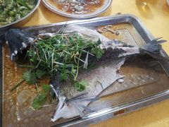 油盐蒸山坑鲩鱼-柴火农庄(东海路店)