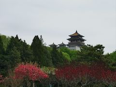 -莲花池公园