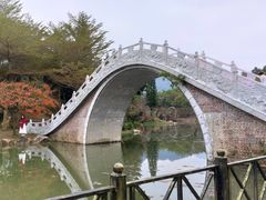 -田野绿世界