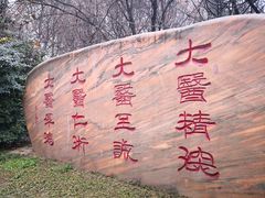 -西京医院