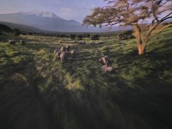 -翱翔飞越地平线