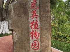 -东莞市虎英郊野公园