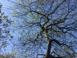 点击看大图 -国颐堂养发SPA馆