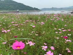 -木洞河街