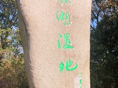 -溱湖国家湿地公园