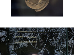 -三星堆博物馆