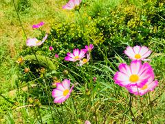 -麦当劳(列东店)