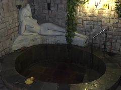 -北京美神宫艺术主题温泉酒店