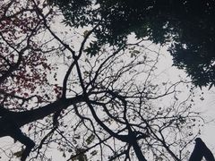 -珠海圆明新园