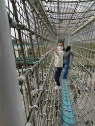 -季高兔窝窝亲子园(上海薰衣草公园店)