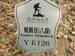 -阿婉贵州苗家酸汤鱼(梅林店)