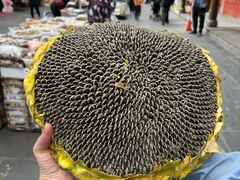-松州古城
