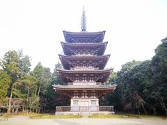 -醍醐寺