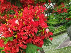 -大嶝英雄三岛战地观光园