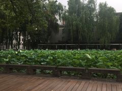 -四川大学(望江校区)