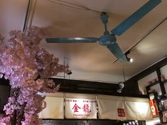 -金龙咖喱