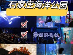 -石家庄海洋公园