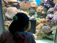 -鹿儿岛水族馆