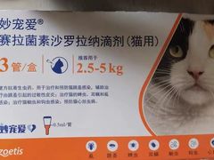 -宠爱国际动物医院· 猫科· 外科·中兽医(长白店)