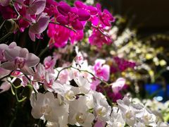 -春暖花开(西溪店)