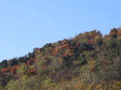 -北京西山国家森林公园