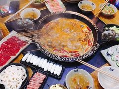 -渝大龙重庆火锅(温泉月亮湾店)