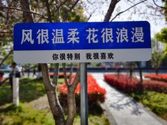 -高东镇樱花园
