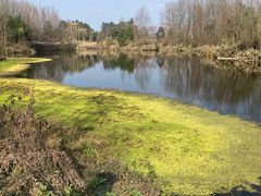 -桤木河湿地公园