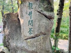 -龙井村