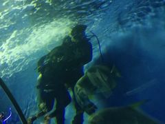 -北戴河圣蓝海洋公园