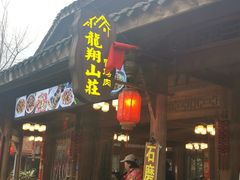 -龙翔山庄雷鸡肉(青城后山泰安古镇店)